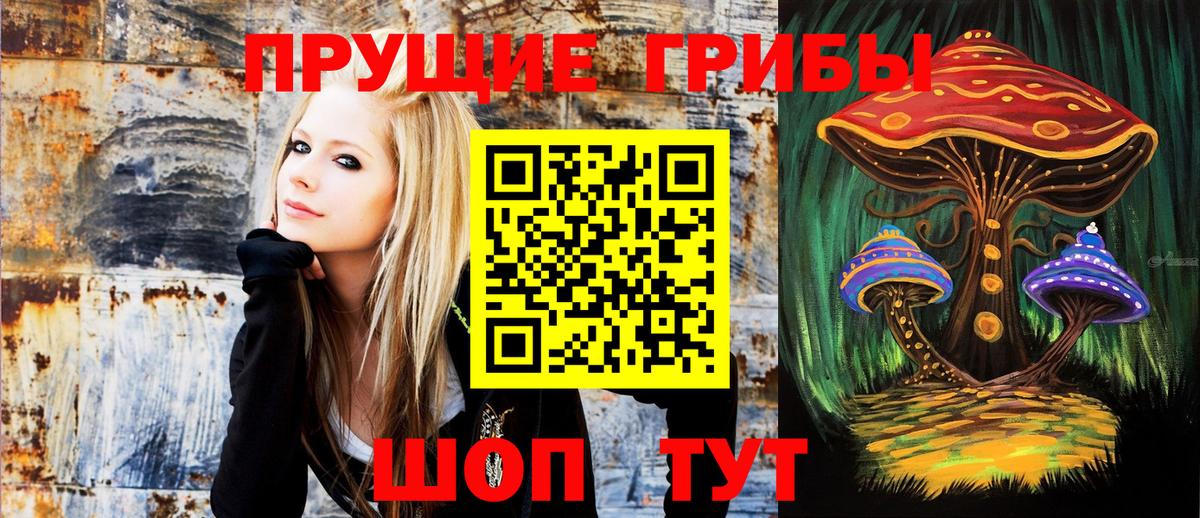 Галлюциногенные грибы мухоморы Карабулак